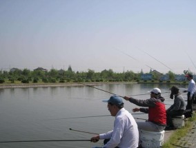 夏日钓鱼十技巧（享受夏日钓鱼的乐趣）