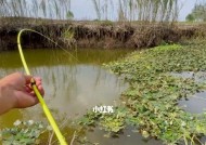 急流水钓鱼技巧（掌握成功的关键）