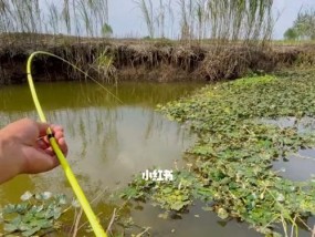 急流水钓鱼技巧（掌握成功的关键）