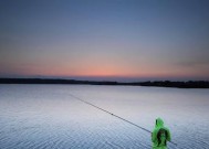 炎炎夏日，轻松钓获鲤鱼的技巧（冷静应对高温）