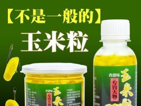 提高钓鱼成功率的玉米饵技巧（掌握关键细节，让你的钓鱼更有效）