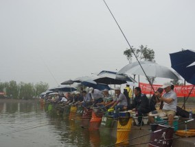 湿地公园双钩钓鱼技巧（探秘湿地公园双钩钓鱼技巧）