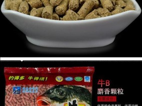 钓鱼技巧大揭秘（掌握颗粒饵技巧，成为钓鱼高手）