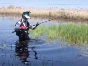 夏末湖库钓鱼技巧（掌握这一技巧）