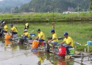 邱延军黑坑钓鱼技巧（掌握黑坑钓鱼技巧）