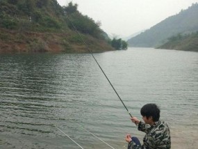 夏季阴天钓鱼野钓技巧（掌握这1个）