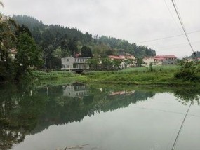 夏季雨天河边野钓的技巧和方法（掌握这些技巧）