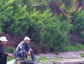 夏季早上黑坑钓鱼技巧（夏季早上黑坑钓鱼的绝佳经验分享）