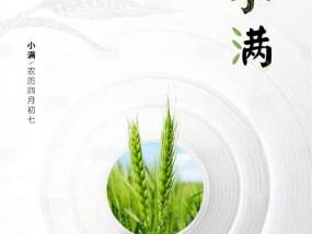 小满节钓鱼技巧（探寻钓鱼的诀窍）