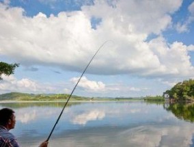 福鼎水库钓鱼技巧与方法（掌握福鼎水库钓鱼技巧）