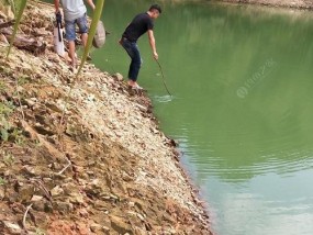 水库放水垂钓草鱼技巧（技巧让你轻松垂钓大草鱼）