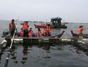 秦皇岛海边钓鱼技巧与方法（探秘海岸线上的丰富渔获）