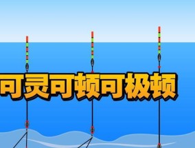 日本钓鱼方法与技巧调漂教程（掌握调漂技巧）