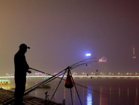 夏季夜钓技巧大揭秘（夜晚垂钓何处寻）