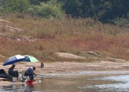 初夏水库野钓技巧教程（初夏水库钓鱼攻略，助你抓住丰收季的丰鱼！）