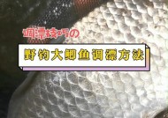 野钓底不平的最快捷调漂方法与技巧（全面掌握野钓底不平的调漂技巧）