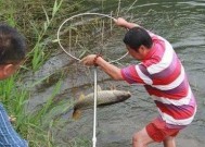 笑傲江湖钓鱼技巧（江湖钓鱼高手的成功秘笈）