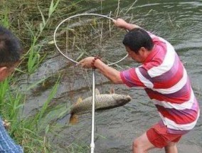 笑傲江湖钓鱼技巧（江湖钓鱼高手的成功秘笈）