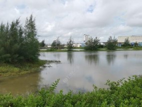 流水闸口钓鱼技巧教学（掌握钓鱼技巧）