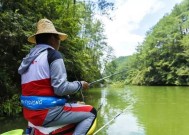 夏季钓鱼打窝技巧（夏季钓鱼技巧分享）