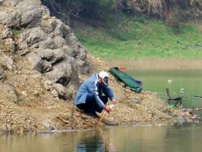 水库钓鱼选桥墩技巧（掌握技巧）