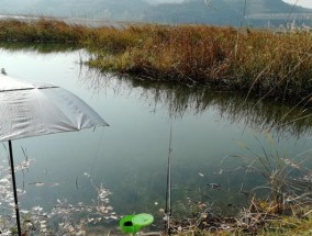 流水轻口鲫垂钓技巧（钓鲫技巧分享）