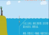 小型浮漂钓鲤鱼技巧教程（掌握关键步骤）