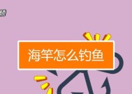 抛竿钓鱼的技巧与方法（提高抛竿钓鱼成功率的实用技巧）