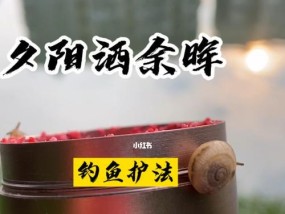 晚上钓鱼的最佳位置和技巧（享受夜晚的宁静）