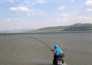 水库鲢鳙垂钓技巧（揭秘水库鲢鳙垂钓技巧）