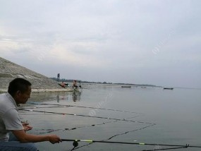 夏季抛竿浮钓草鱼技巧（掌握关键诀窍，让你渔获满满）