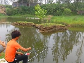 钓鱼光水面打窝的技巧（掌握窍门，成就高手钓鱼）