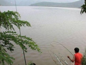 浮游矶钓飞鱼的技巧与方法（全面掌握飞鱼钓鱼技巧）