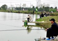 野钓鲤鱼之打窝技巧（揭秘如何打窝，提升钓鲤成功率）