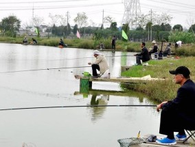 野钓鲤鱼之打窝技巧（揭秘如何打窝，提升钓鲤成功率）