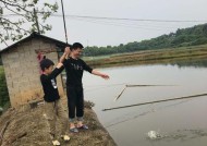 冬季阴雨天钓鱼技巧（如何在鱼塘阴雨天成功钓鱼）