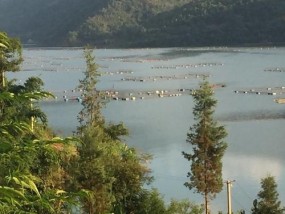 流水河筏钓技巧解析（掌握流水河筏钓技巧）