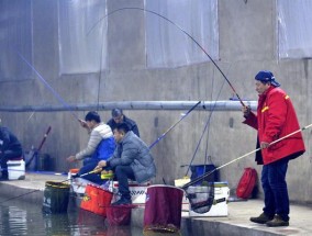 探秘蚯蚓钓鱼技巧黑坑（发现钓鱼圈内的秘密武器）