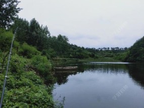 盛夏阴天钓鱼技巧（钓鱼技巧）