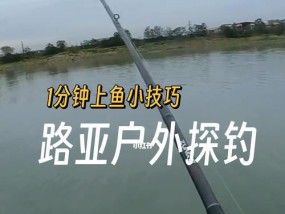 夏季晚上钓鱼的技巧与方法