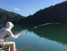 冬季野钓鲫鱼打窝技巧水下（探寻水底世界）