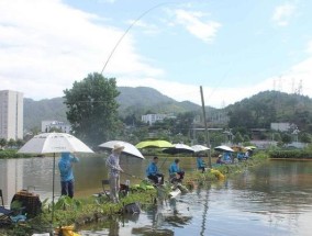 夏天钓鱼的七大技巧（夏季钓鱼的高效策略和技巧）