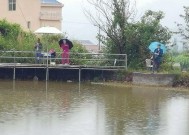 夏季雨天河钓技巧（雨天河钓经验分享）