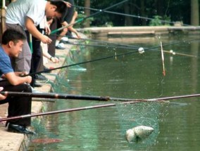 深水野鱼塘钓鱼技巧（技巧分享）