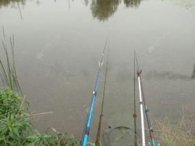 雨后钓鱼技巧，尽在野河（探寻钓鱼奥秘）