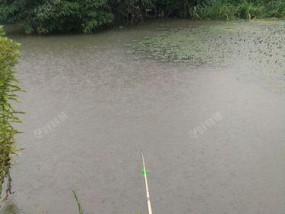 冬季下雨钓鱼的技巧（钓鱼）