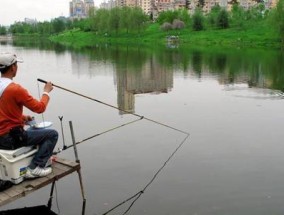 夜晚水下钓鱼技巧（深入探寻夜晚水下钓鱼技巧的秘密）