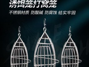 欧式饵笼钓鱼实战技巧（掌握钓鱼技巧）