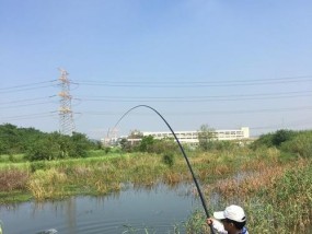 流水小沟钓鱼技巧（掌握钓鱼技巧）