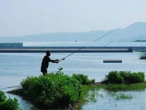 冬季太阳大钓鱼技巧（悠闲冬日）